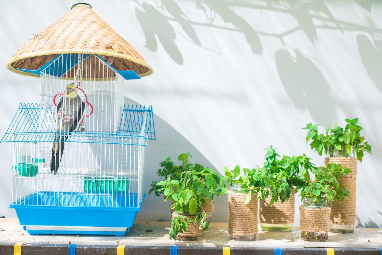 Sanya Passion Fruit Inn Εξωτερικό φωτογραφία