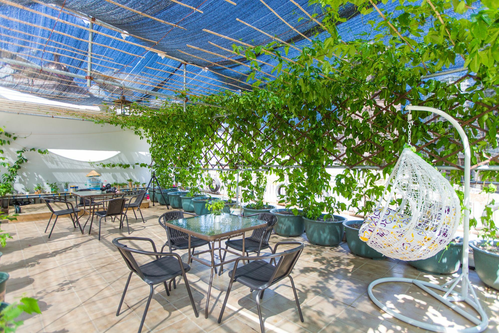 Sanya Passion Fruit Inn Εξωτερικό φωτογραφία